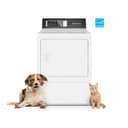 DR7 Sanitizing Electric Dryer with Pet Plus™ view 3
