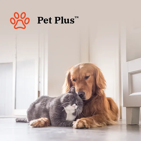 Pet Plus cycle removes hair and fleas