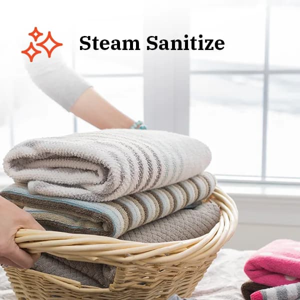 Steam Sanitize for deep freshening